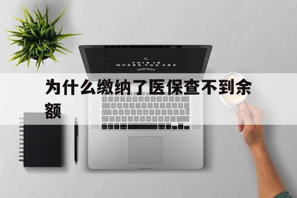 嘉善最新为什么缴纳了医保查不到余额方法分析(最方便真实的嘉善医保交了费怎么查不到方法)